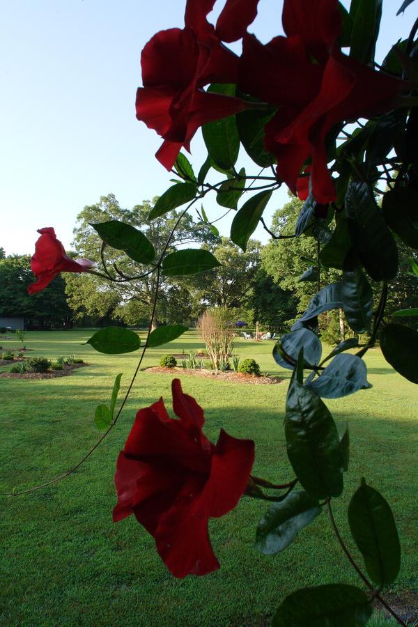 Seven Oaks Bed & Breakfast Highpoint Exteriér fotografie